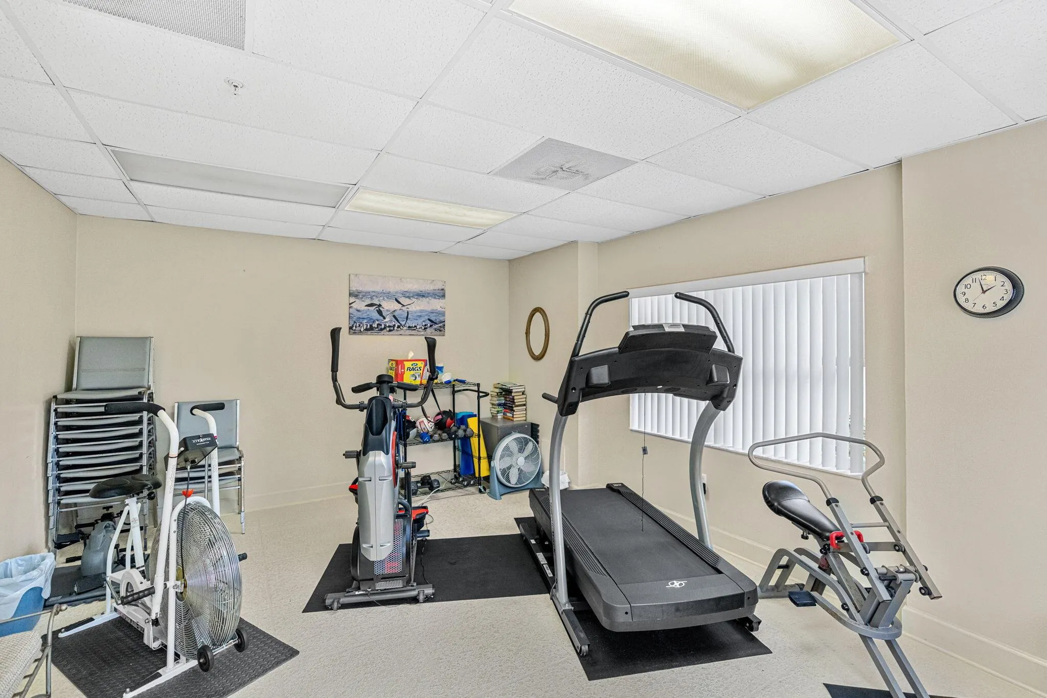 1155 S Atlantic Avenue, #203