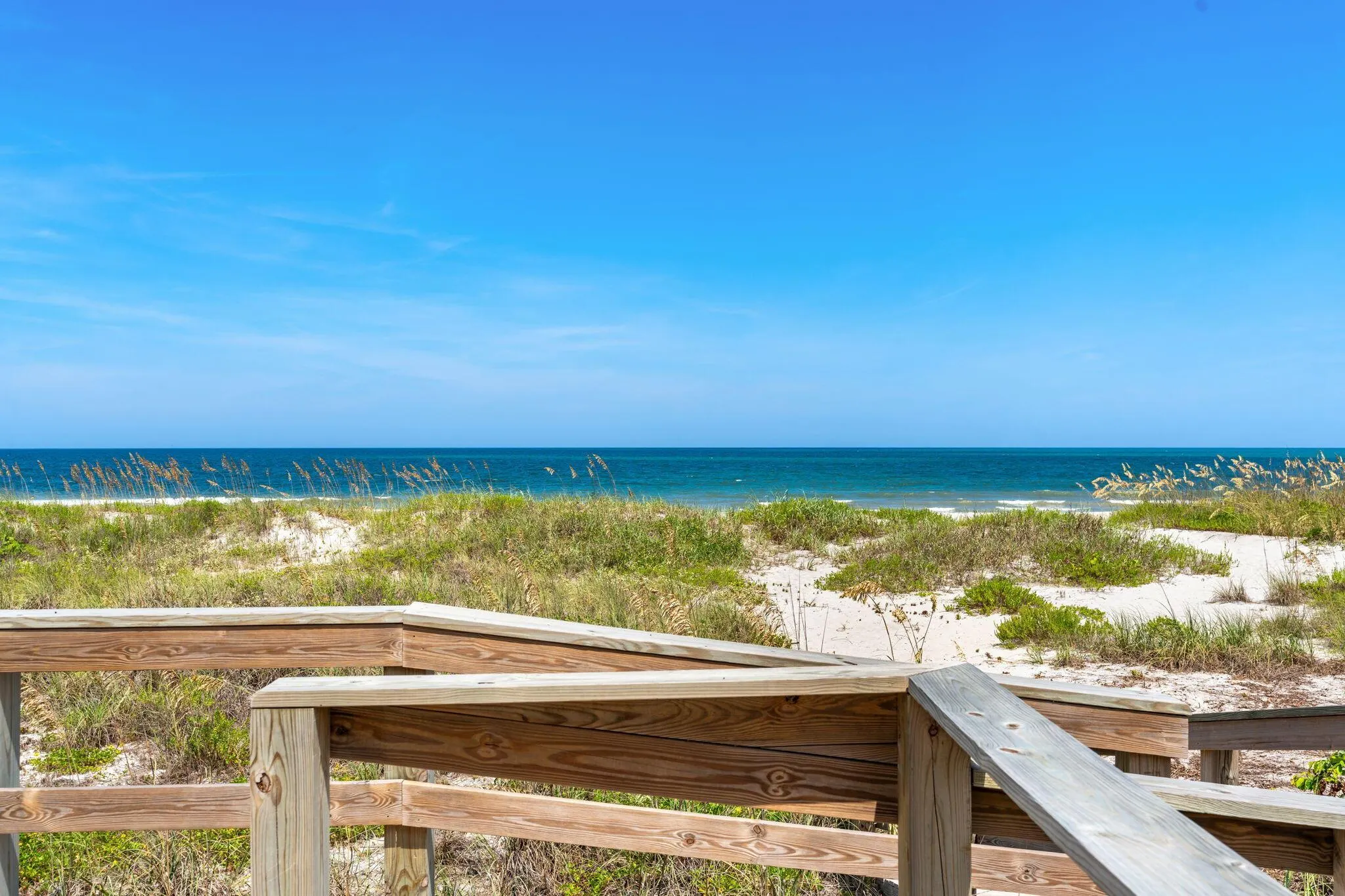 1155 S Atlantic Avenue, #203