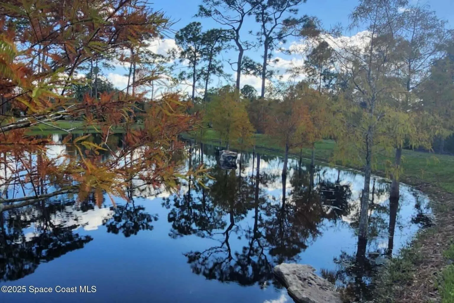 7330 Crabgrass Road