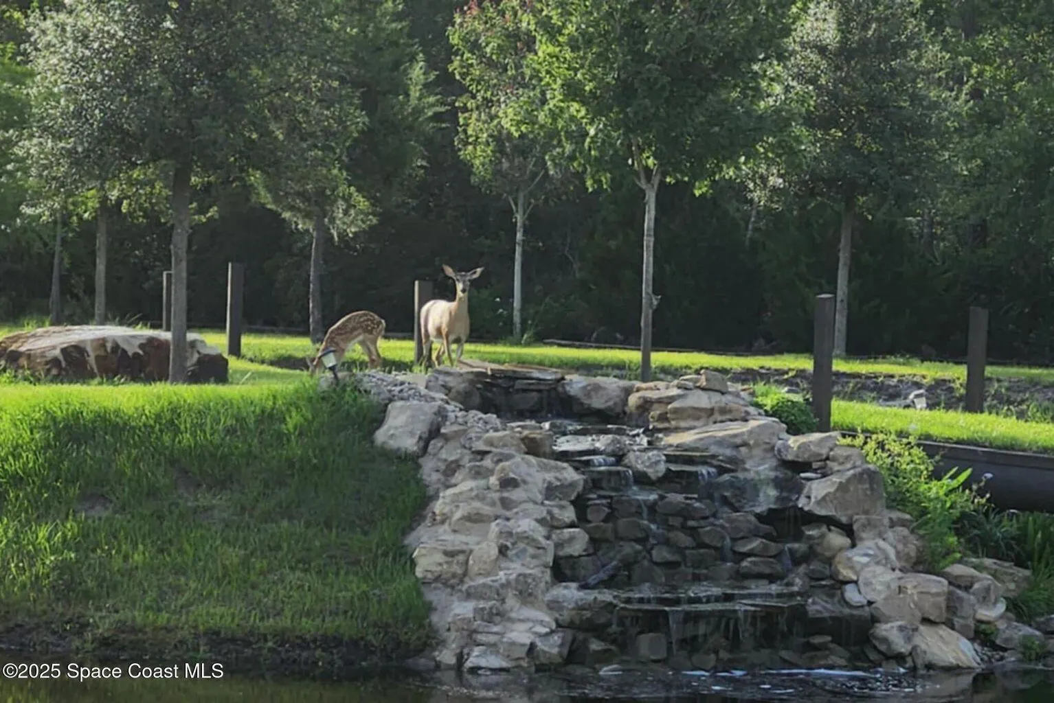 7330 Crabgrass Road
