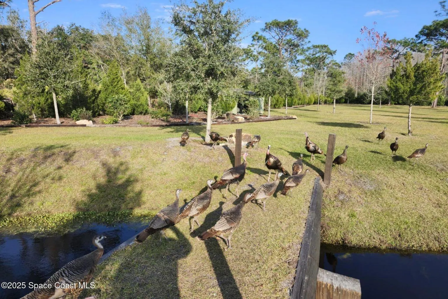 7330 Crabgrass Road
