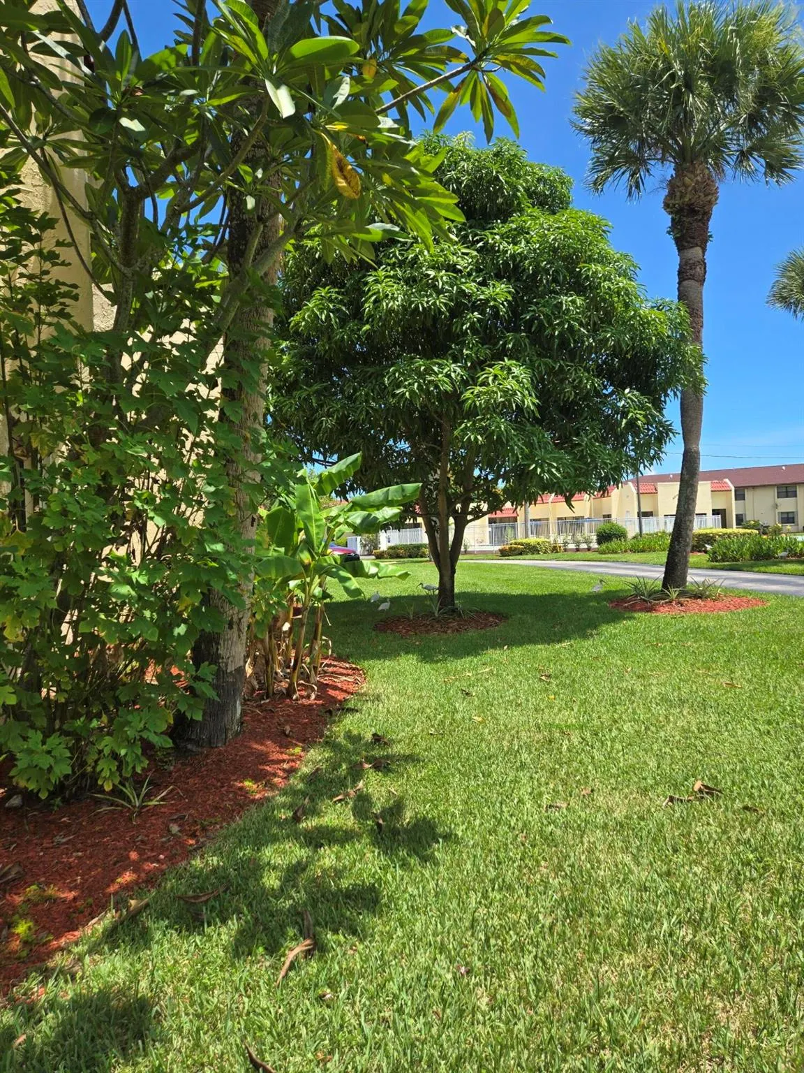 2050 Oleander Boulevard, #4-106