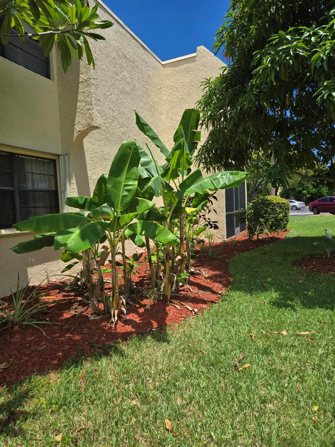 2050 Oleander Boulevard, #4-106