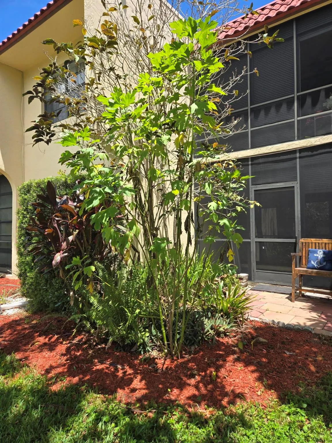 2050 Oleander Boulevard, #4-106