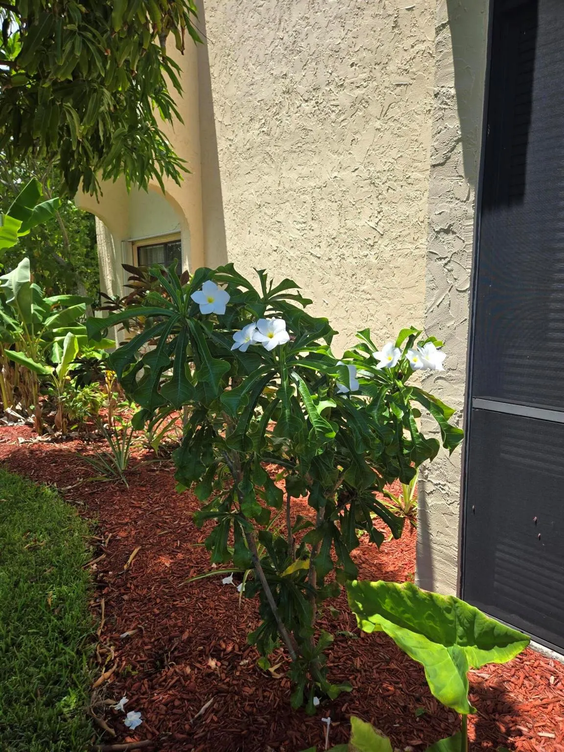 2050 Oleander Boulevard, #4-106