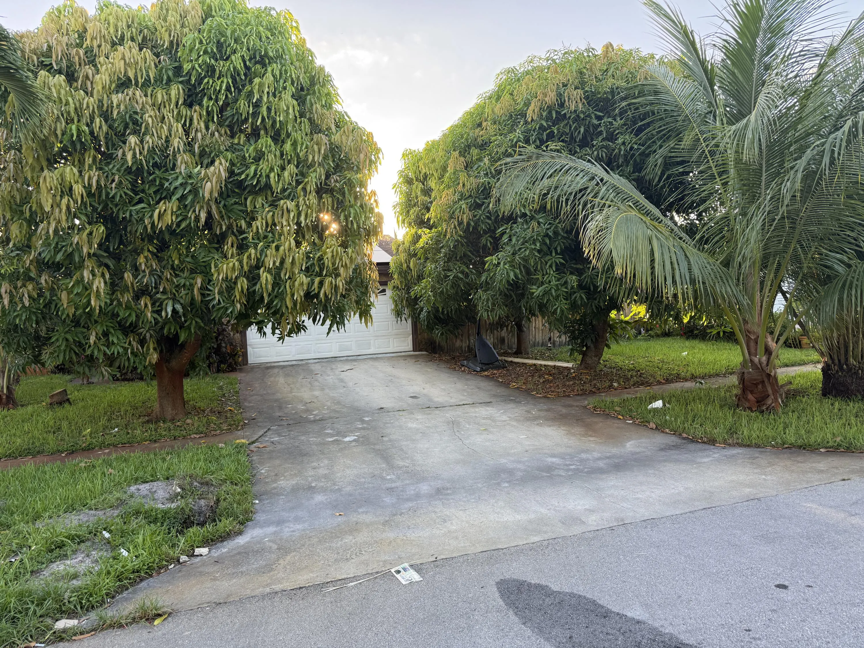 1323 Scottsdale Road E