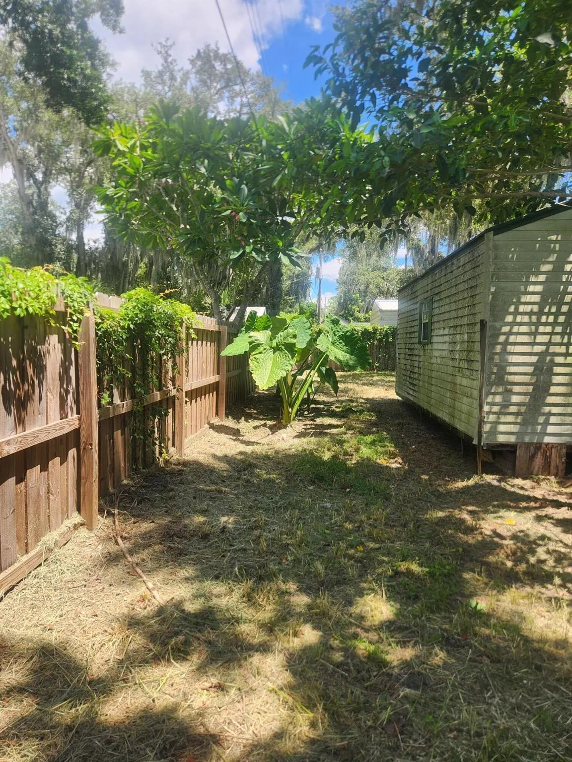 809 SE 10th Street