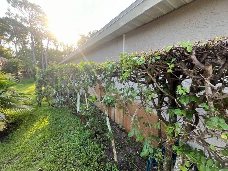 184 SW Fernleaf Trail