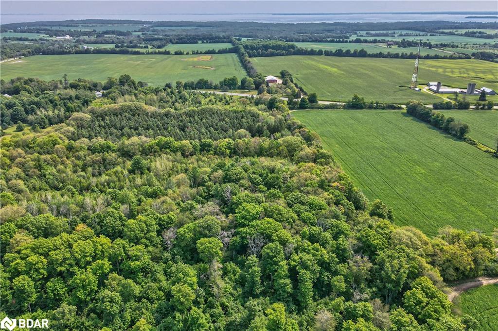 Listing 40149345 - Large Photo # 8
