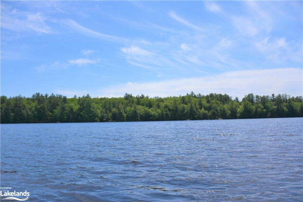 3200 Spence Lake, Bracebridge