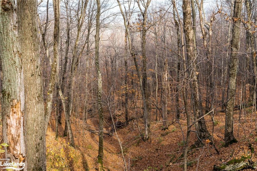 Listing 40346284 - Large Photo # 22