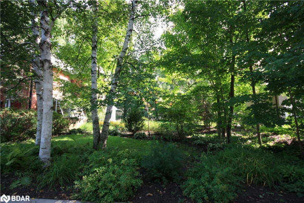 133 Mulcaster Street, Barrie
