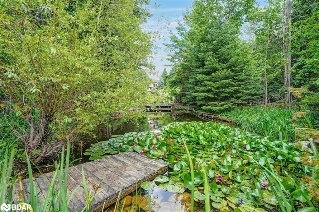 Listing 40374049 - Large Photo # 25