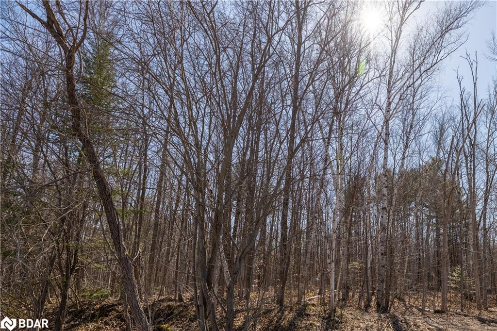 Listing 40377537 - Large Photo # 10