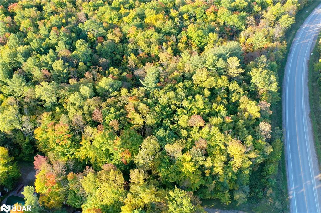 Listing 40377537 - Large Photo # 6