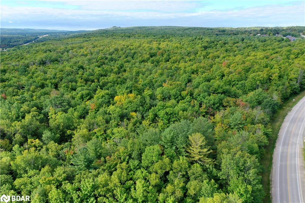 Listing 40377537 - Large Photo # 4