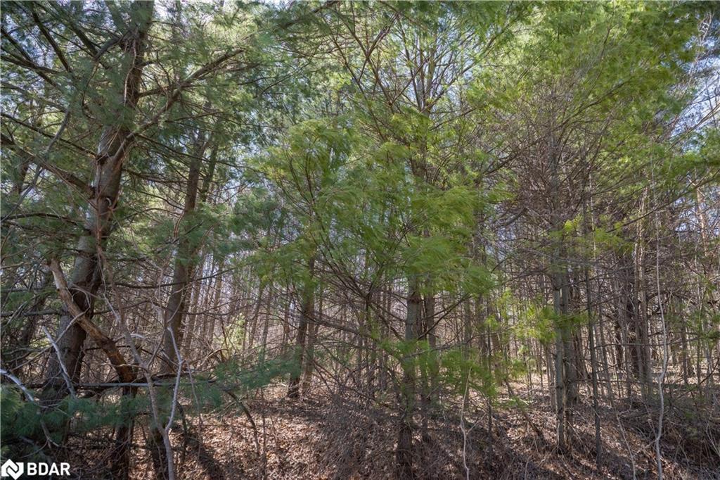 Listing 40377537 - Large Photo # 9
