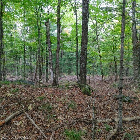 Listing 40378577 - Large Photo # 7