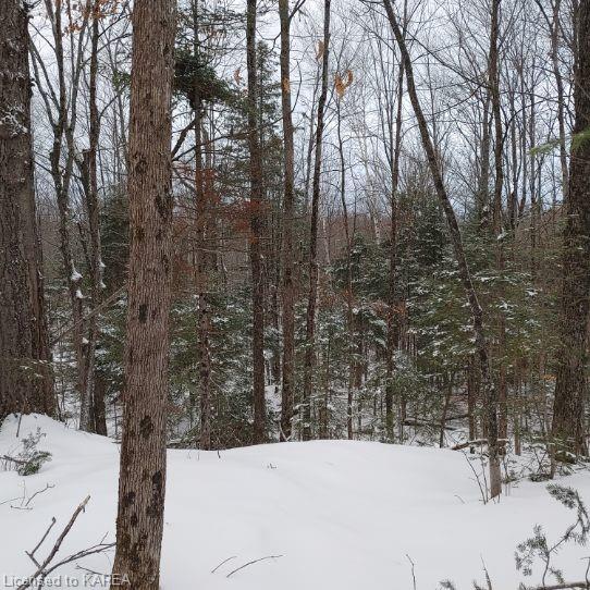 Listing 40378577 - Large Photo # 10