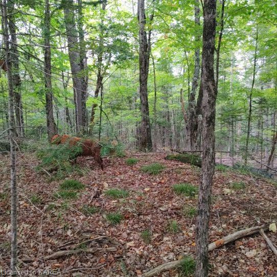 Listing 40378577 - Large Photo # 2