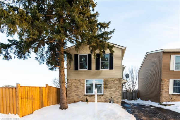 77 Timberlane Crescent, Kitchener