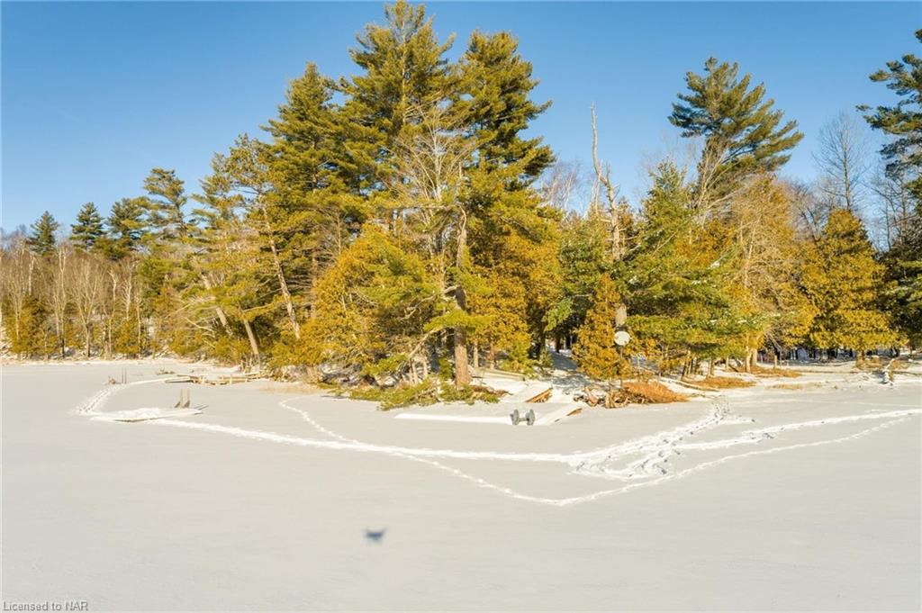 Listing 40388237 - Large Photo # 2