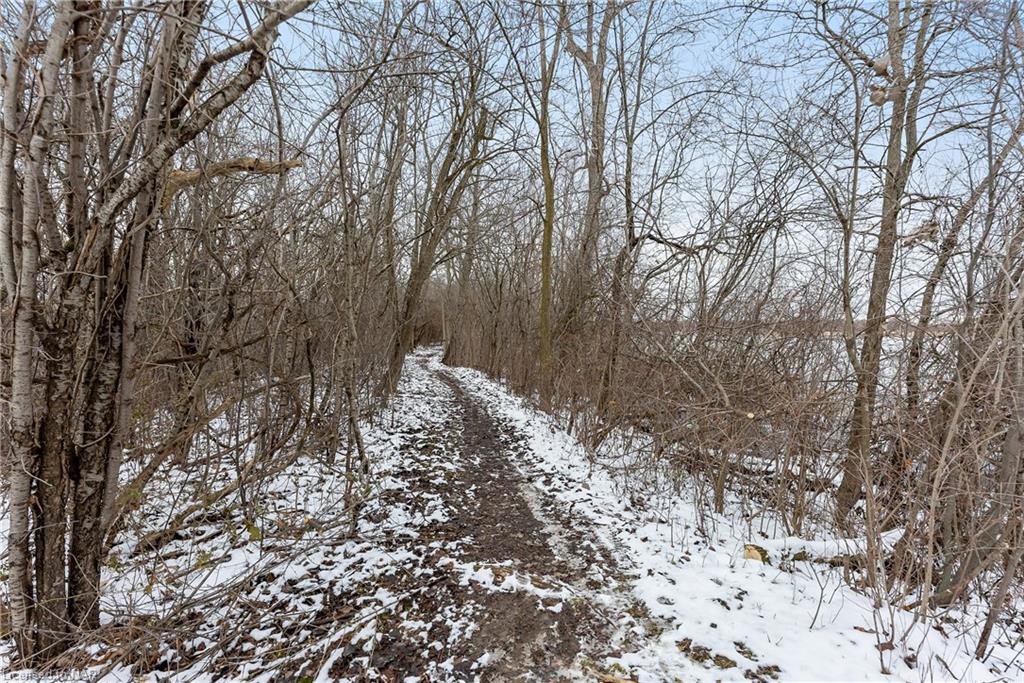 Listing 40388889 - Large Photo # 18