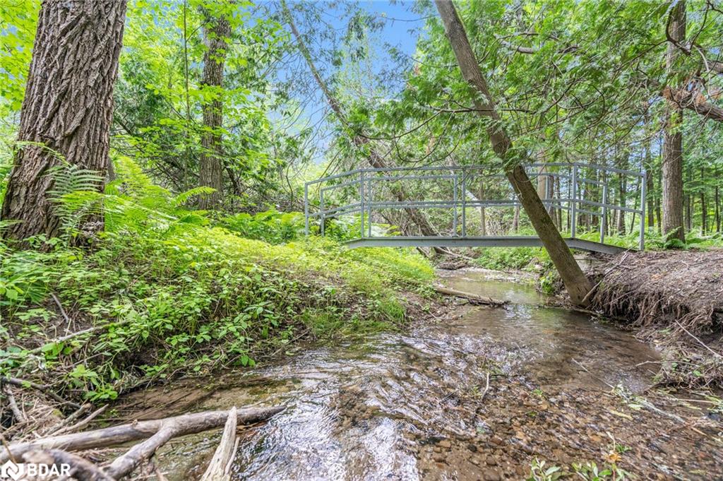 Listing 40414145 - Large Photo # 36