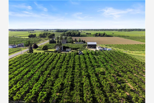1581 Concession 2 Road, Niagara-on-the-Lake