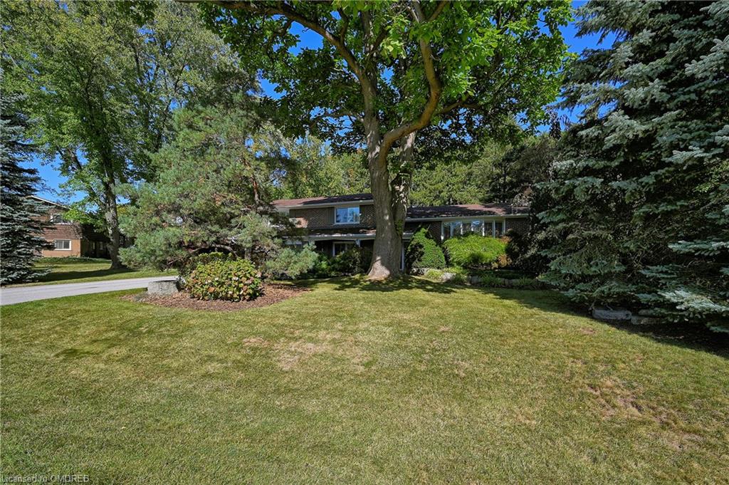 Listing 40429325 - Large Photo # 3