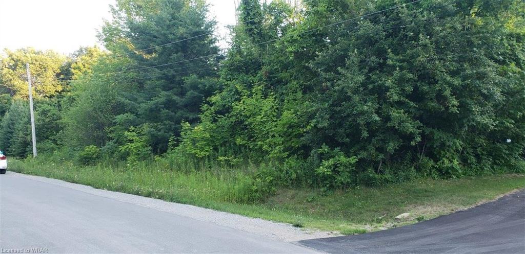 Listing 40434242 - Large Photo # 7