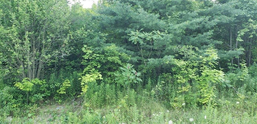 Listing 40434242 - Large Photo # 9