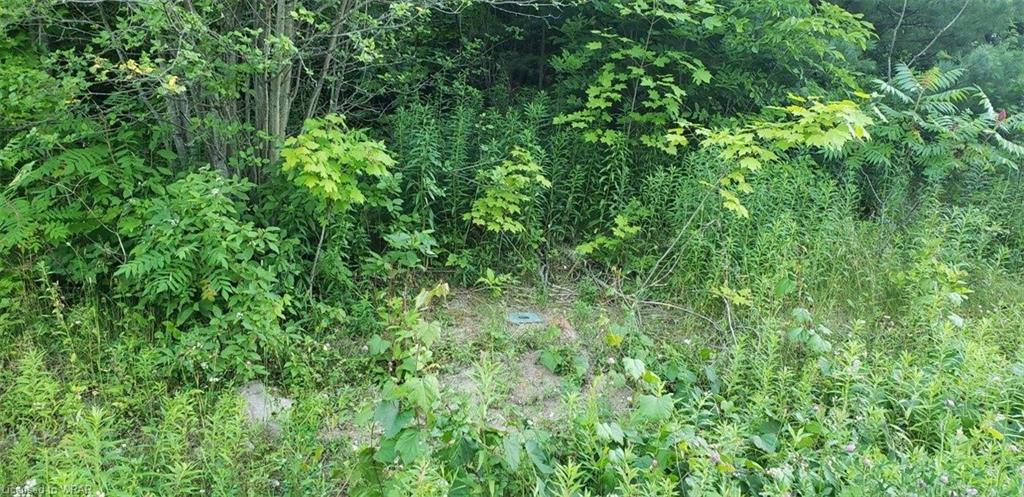 Listing 40434242 - Large Photo # 8