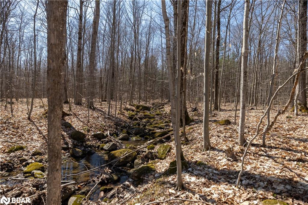Listing 40441071 - Large Photo # 5