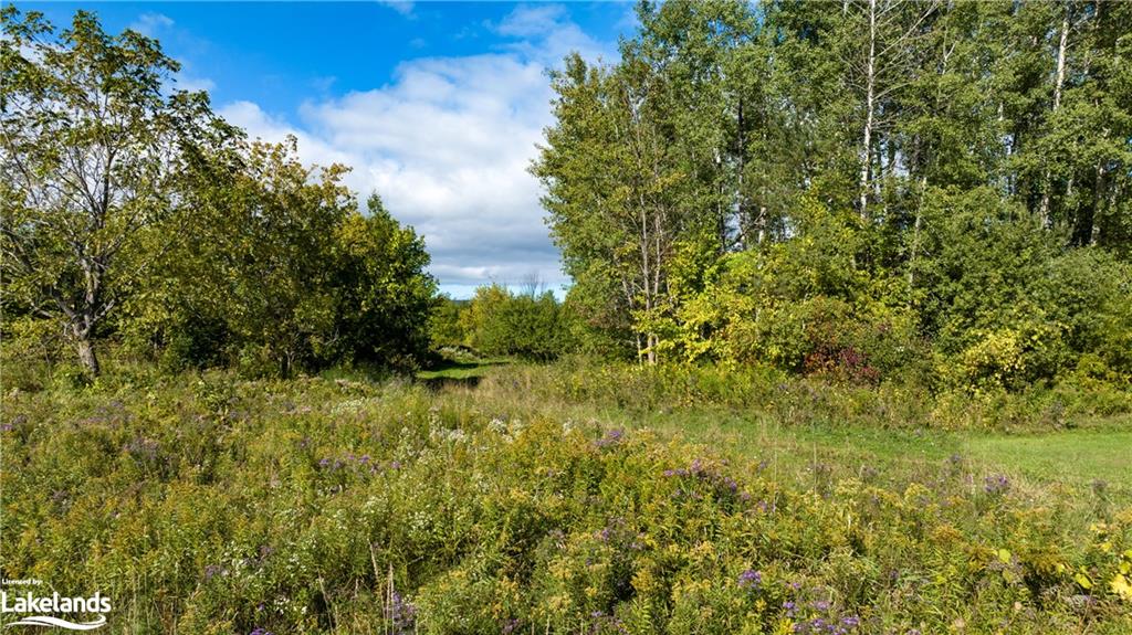 Listing 40444788 - Large Photo # 9