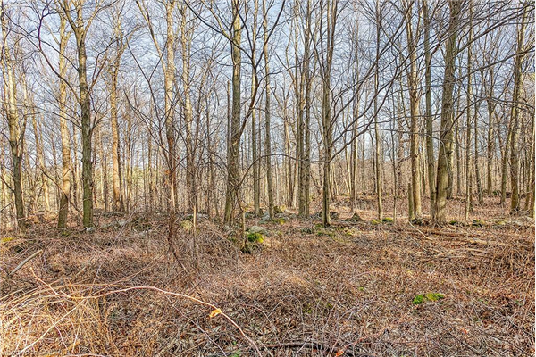 5650 Cedar Springs Road, Burlington