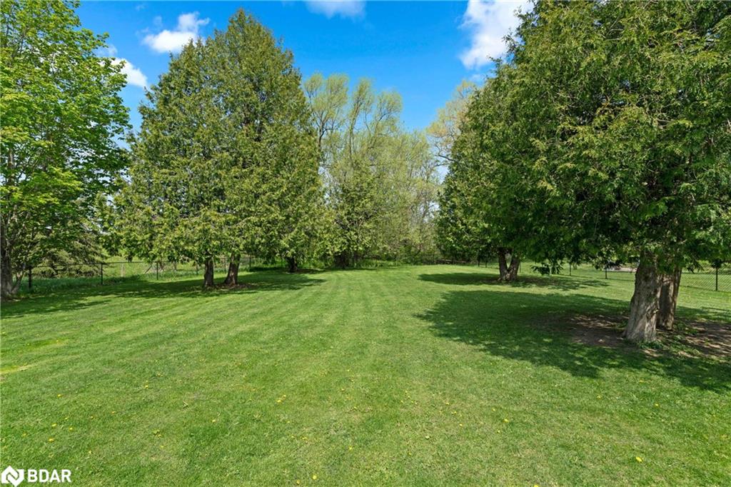 Listing 40451486 - Large Photo # 6