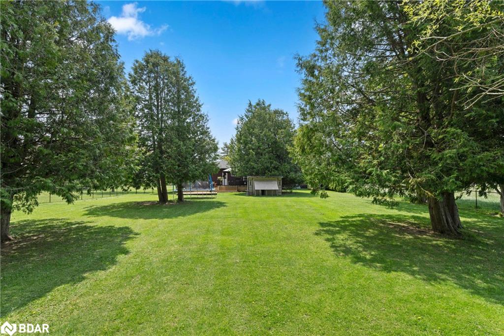 Listing 40451486 - Large Photo # 4