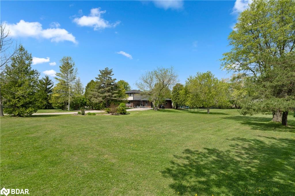 Listing 40451486 - Large Photo # 2