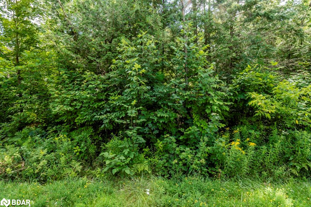 Listing 40469684 - Large Photo # 17