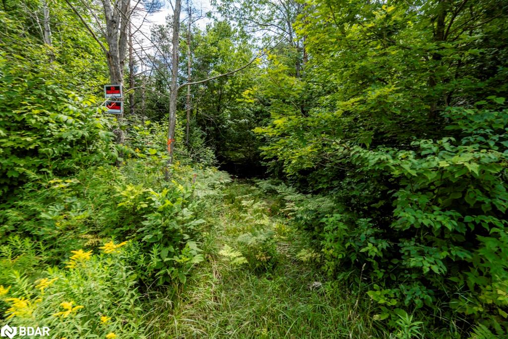 Listing 40469684 - Large Photo # 21