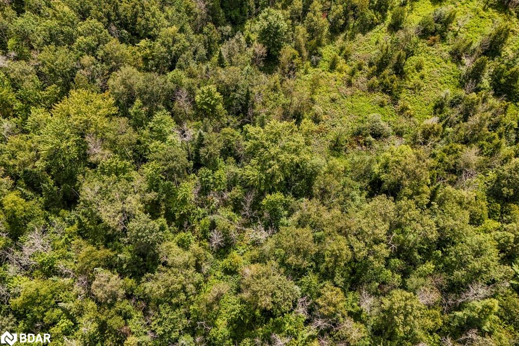 Listing 40469684 - Large Photo # 6