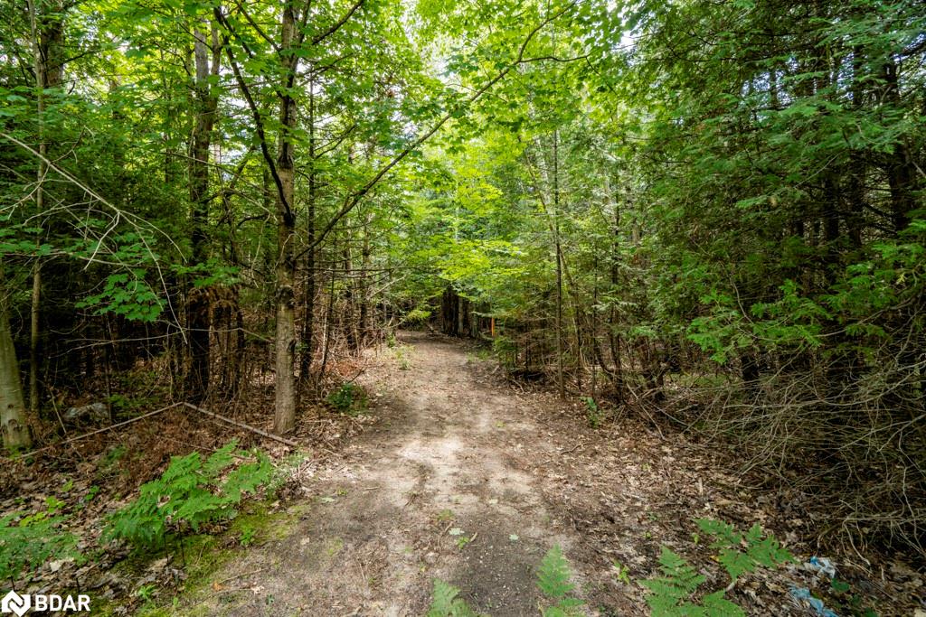 Listing 40469684 - Large Photo # 24