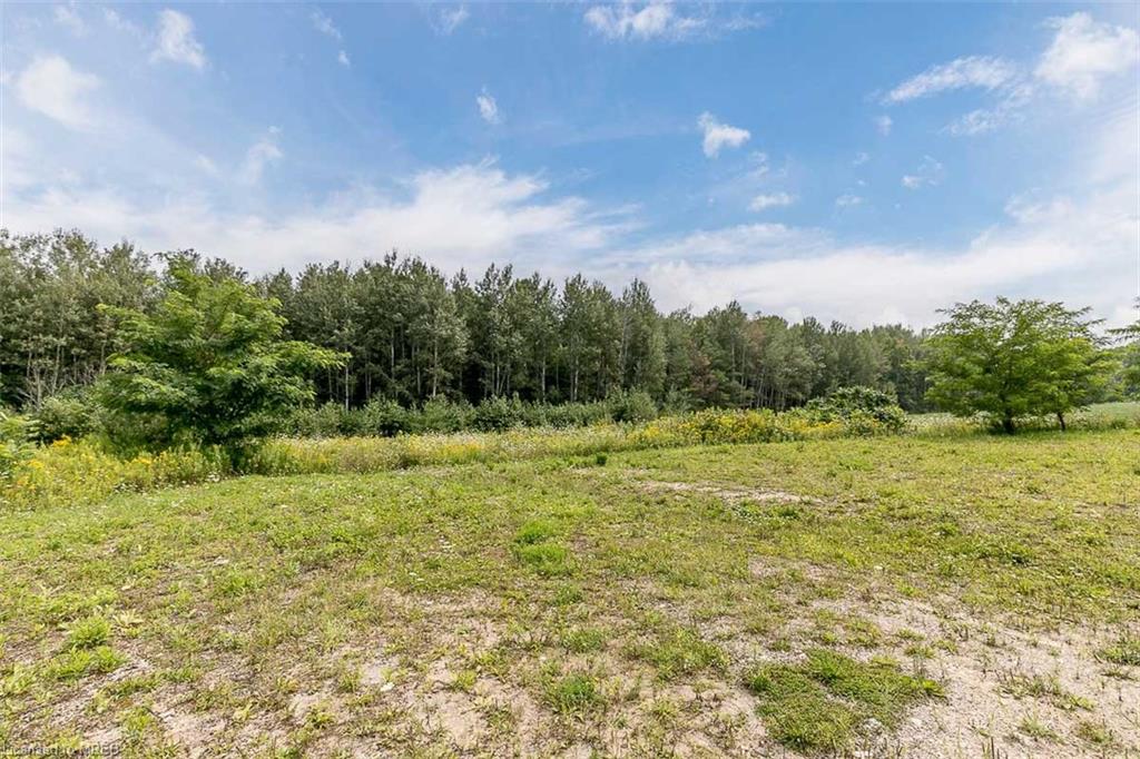 Listing 40470155 - Large Photo # 7