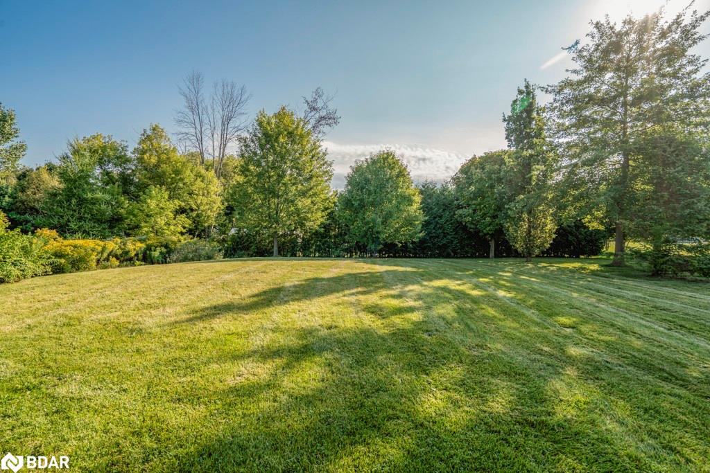 19 Butternut Crescent