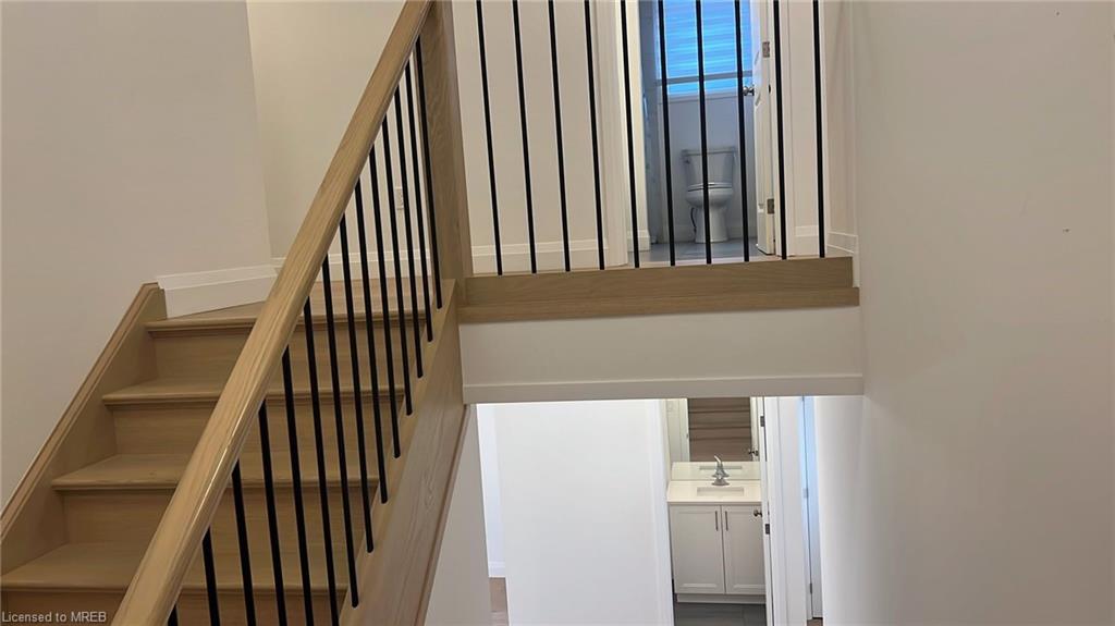 11 Basil Crescent