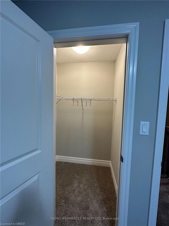 242 Bradshaw Drive