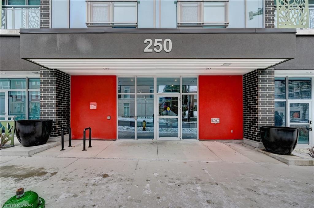 250 Albert Street, #319