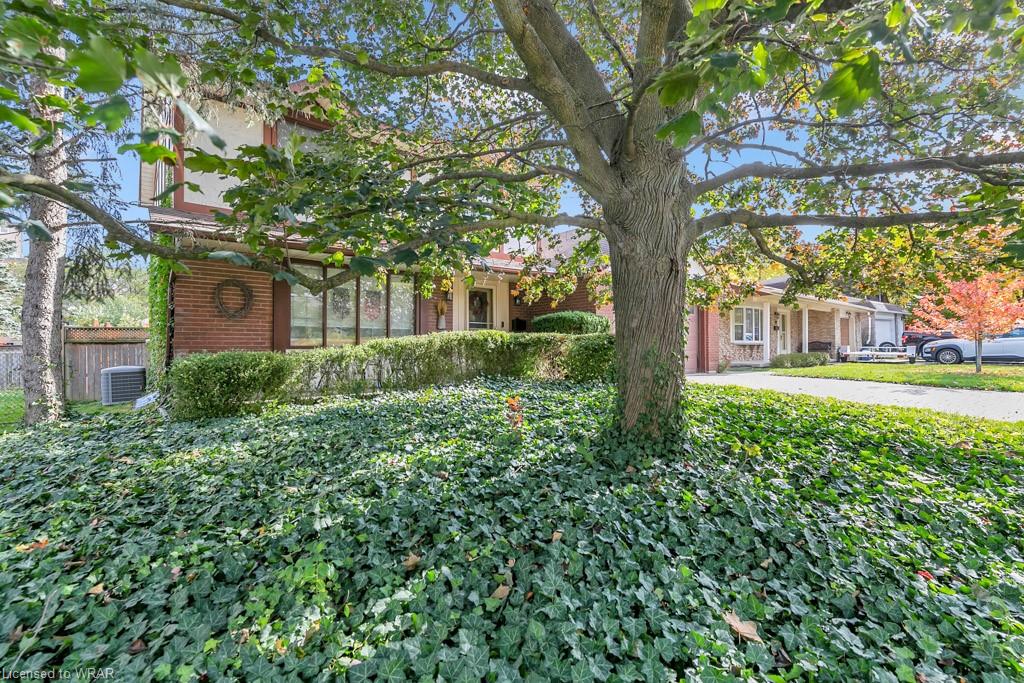 44 Kelly Drive