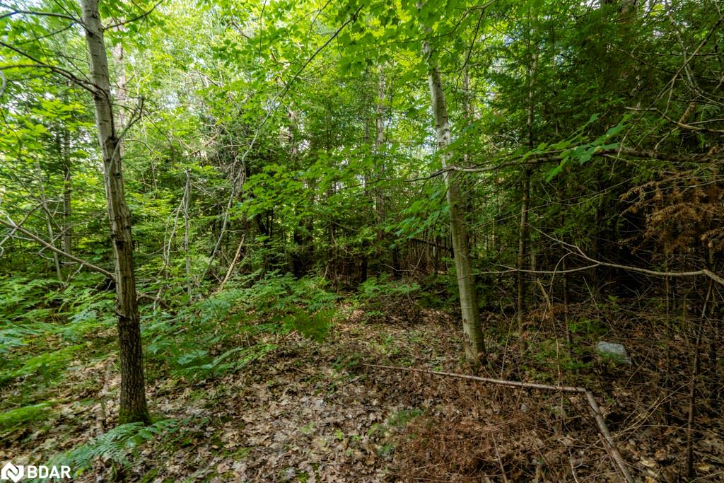 5349 30th Side Road